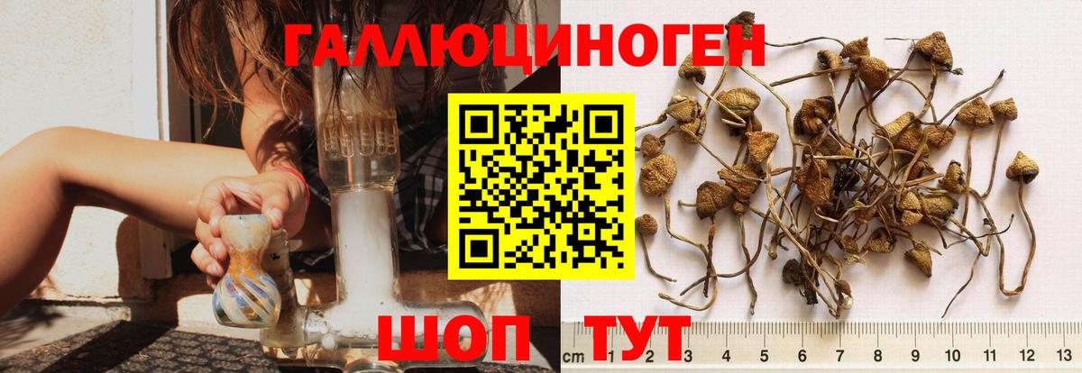 Галлюциногенные грибы мицелий  Галлюциногенные грибы прущие грибы  Морозовск  Вход с VPN 